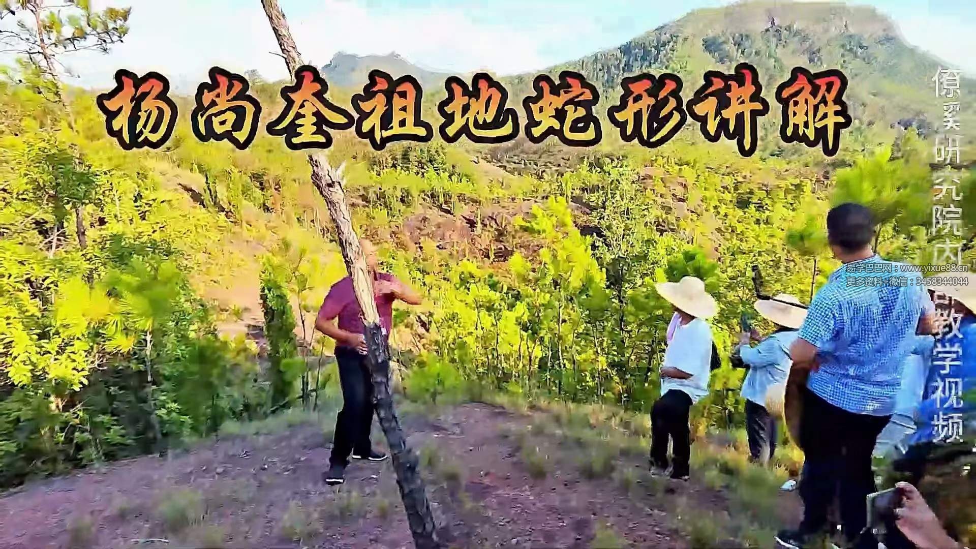 曾治瀚老师形峦教学讲解视频50集