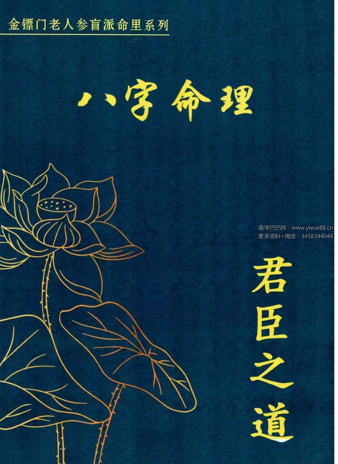 金镖门盲派八字《君臣之道》528页