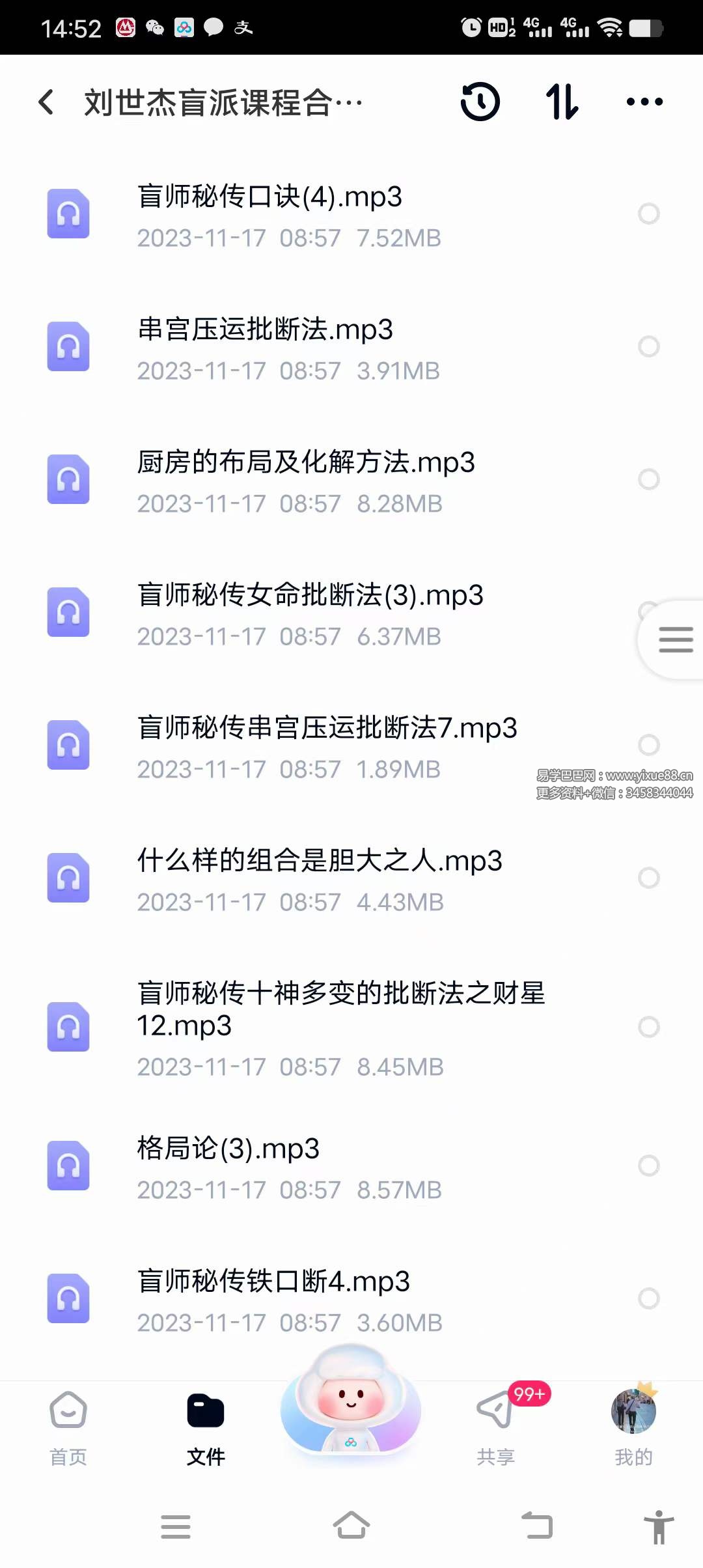 刘世杰盲派课程合集109节