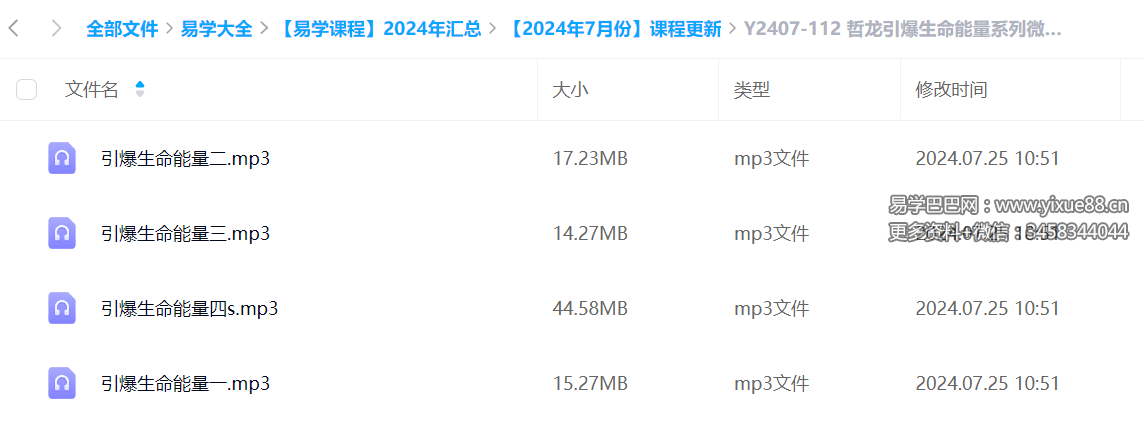 哲龙引爆生命能量系列微课4节音频