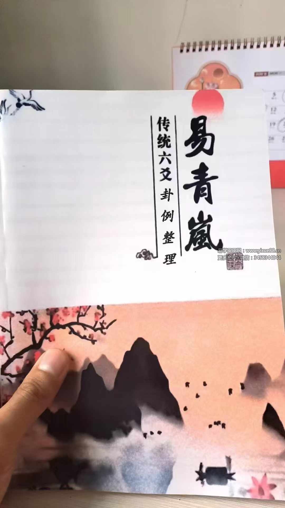 《易青岚卦例篇》+《易青岚细节篇》