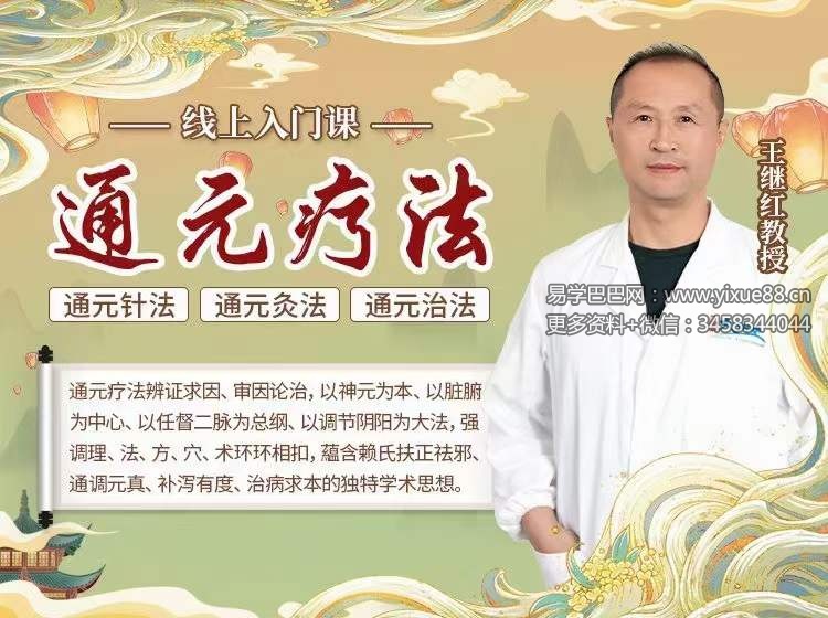 王继红教授 通元疗法 全18进 视频课