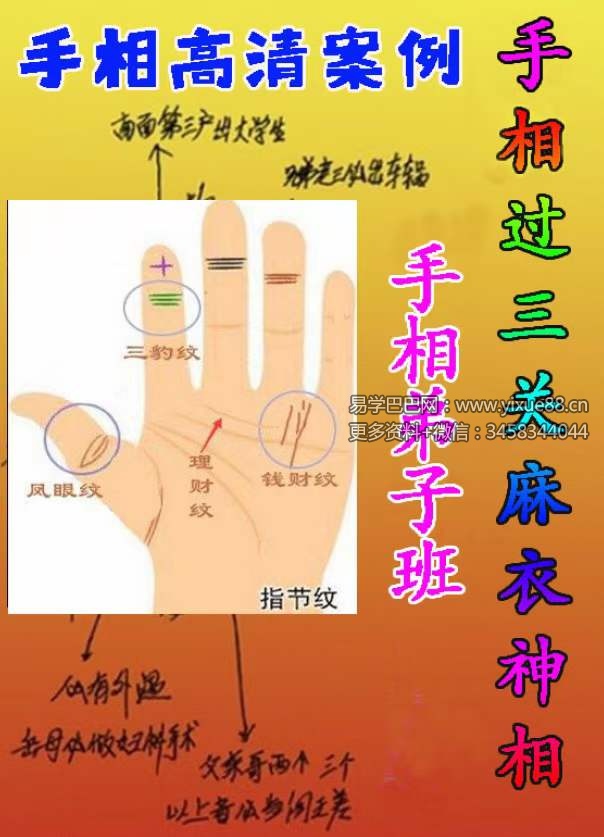黄瑞海手相弟子班教学200个案例 273页