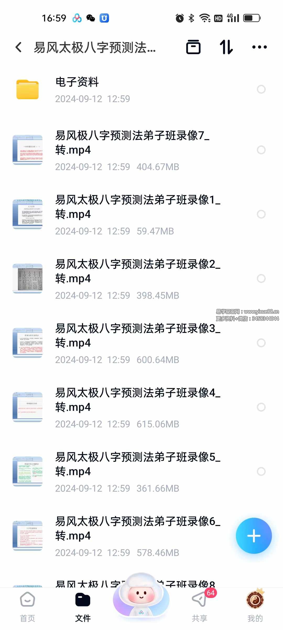 易风太极八字预测法弟子班SP课程10集+文档
