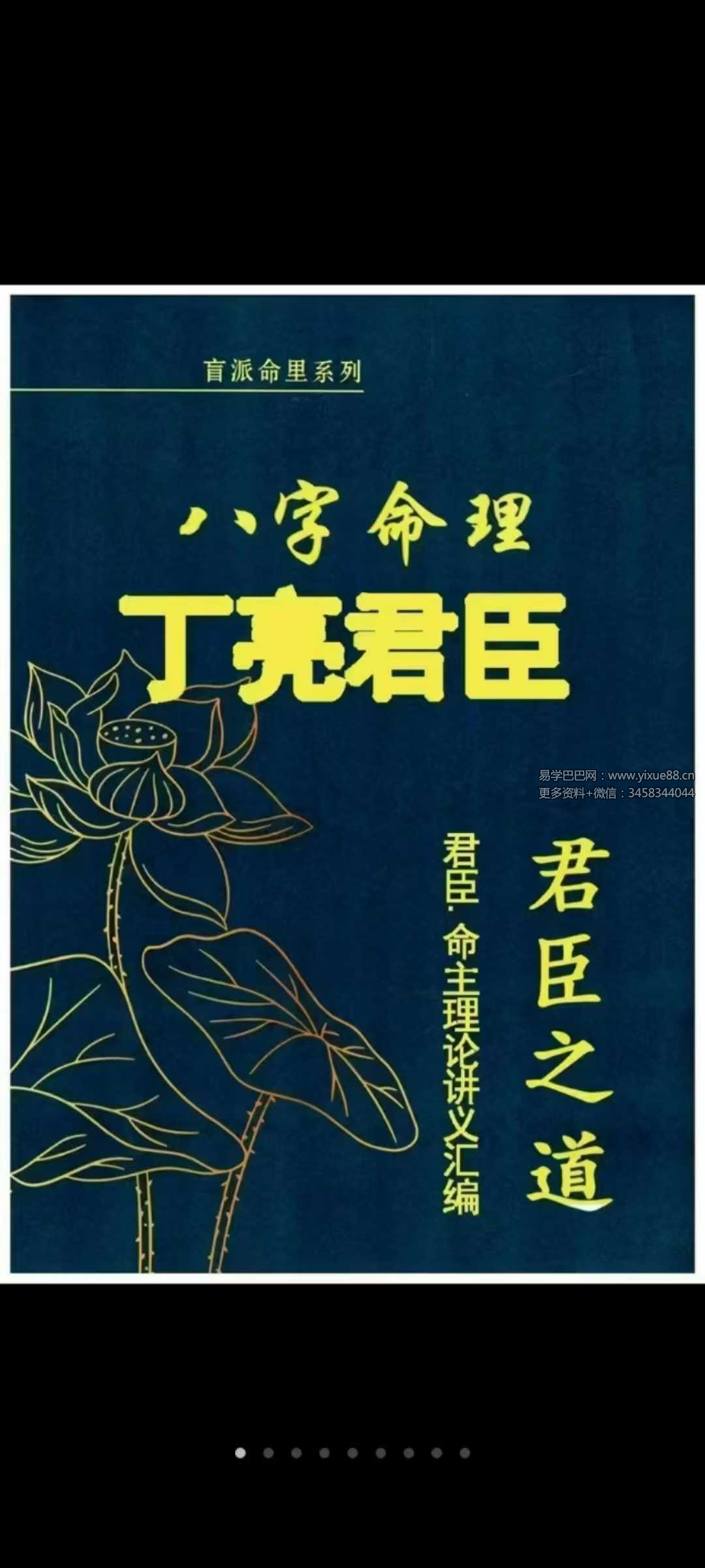 丁亮君臣《君臣之道 命主理论讲义汇编》526页