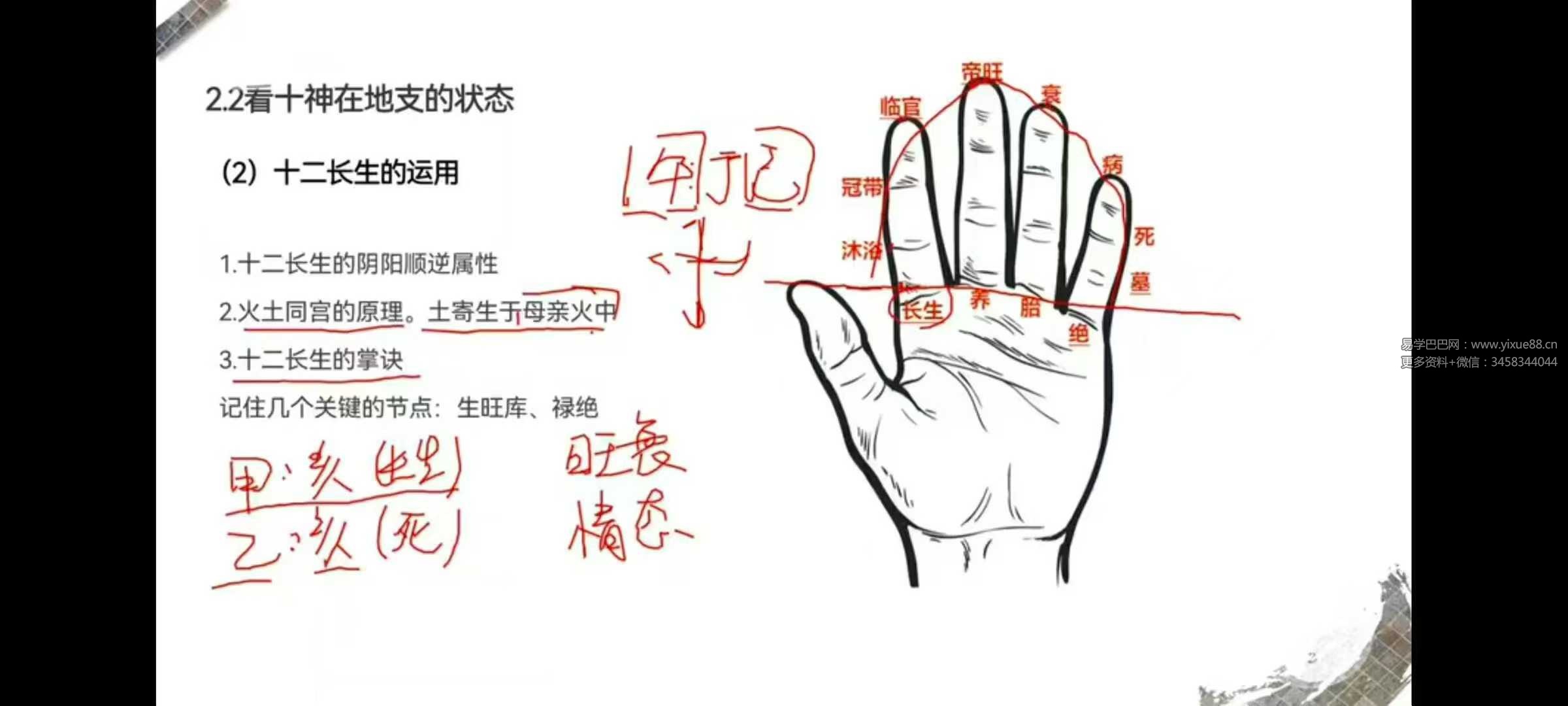 麒麟八字高级班 论命体系篇31集