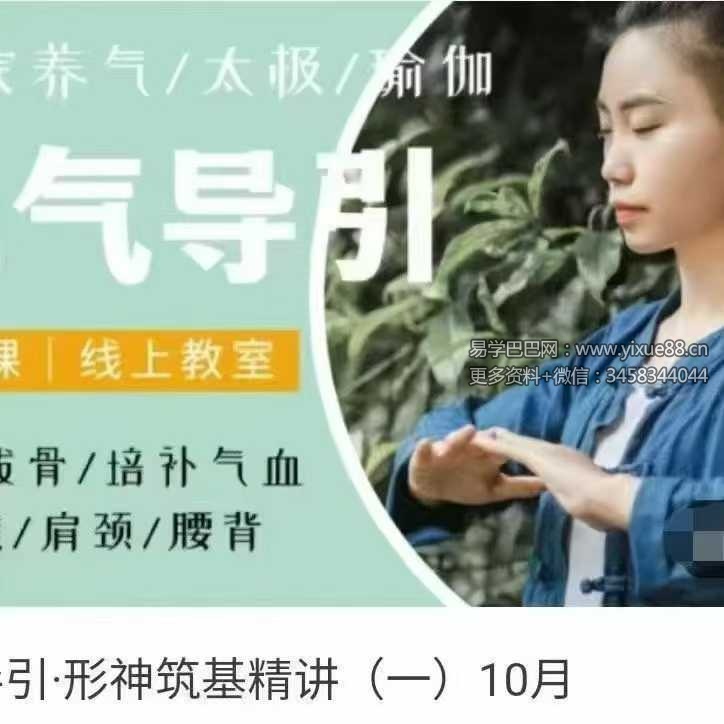 施莹 元气导引 形神筑基精讲24集视频