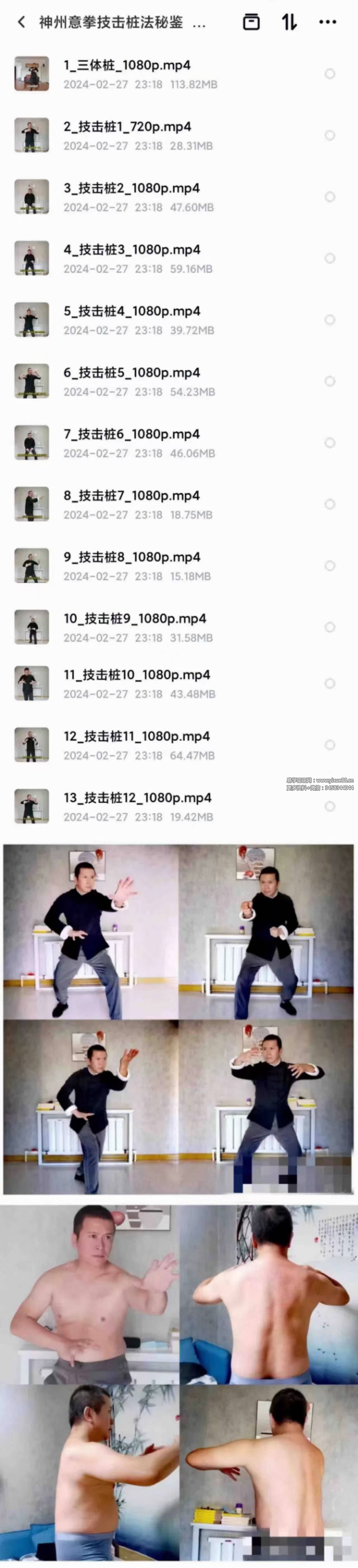 高臣老师《神州意拳技击桩法秘鉴》13集