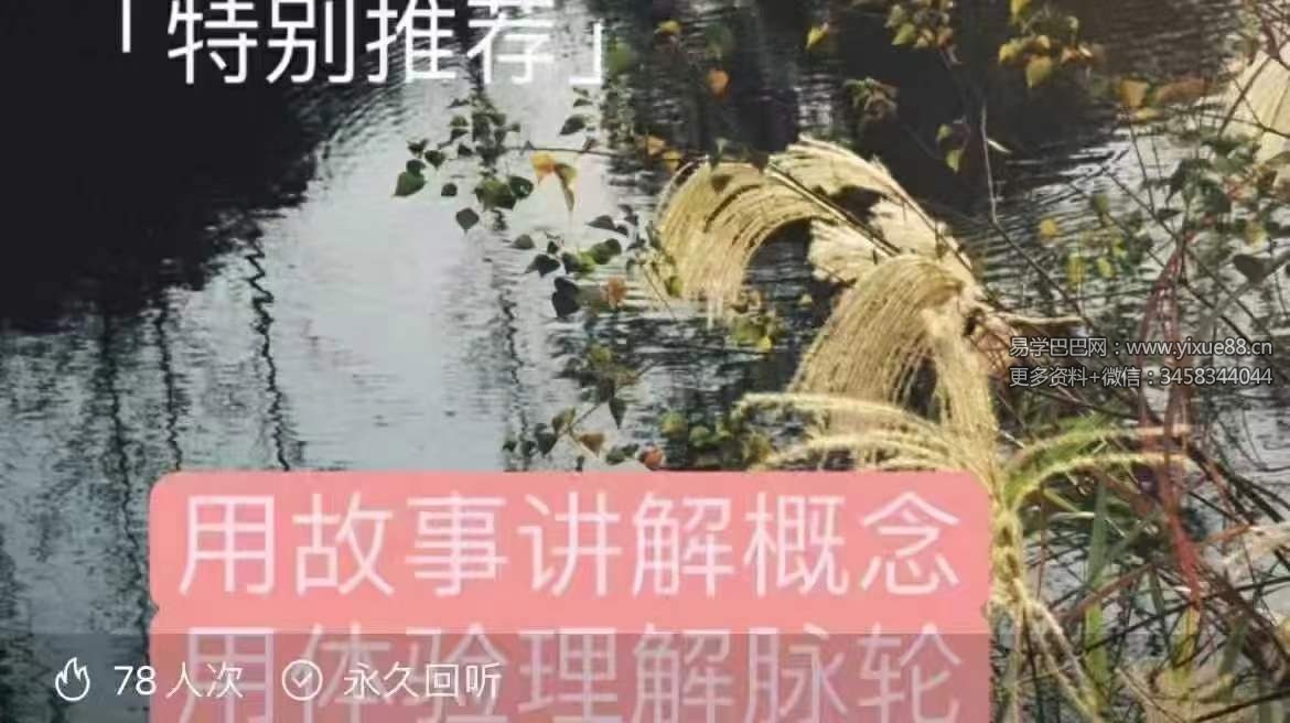 七脉轮 深度讲解直觉超强的骆驼10集